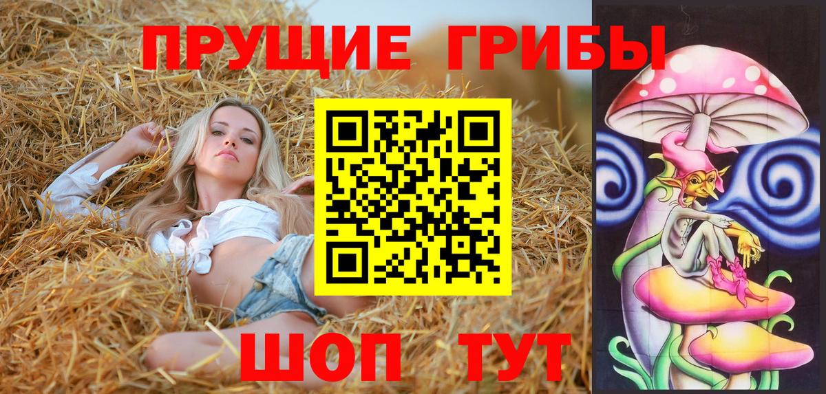 Городец  Галлюциногенные грибы Psilocybine cubensis  Вход с VPN  Псилоцибиновые грибы Psilocybe 
